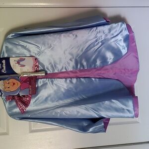 Disney Adult Fairy Godmother cape and wand.